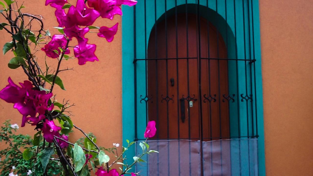 Oaxaca Casa Frida B&B المظهر الخارجي الصورة