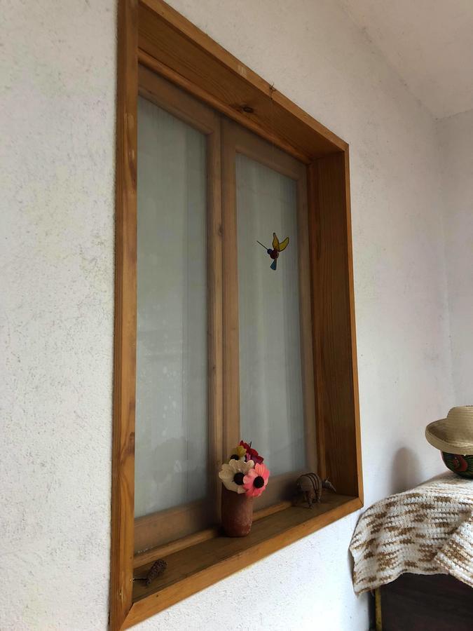 Oaxaca Casa Frida B&B المظهر الخارجي الصورة