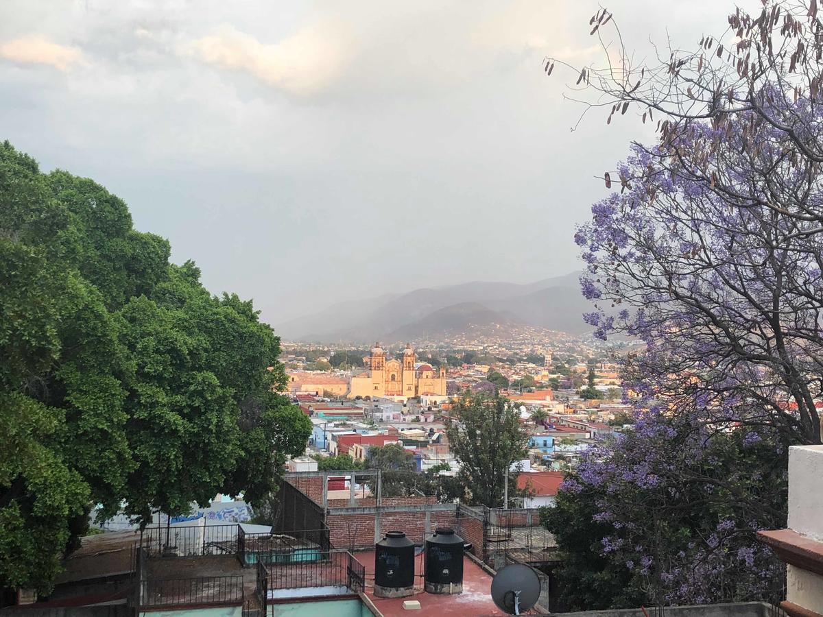 Oaxaca Casa Frida B&B المظهر الخارجي الصورة